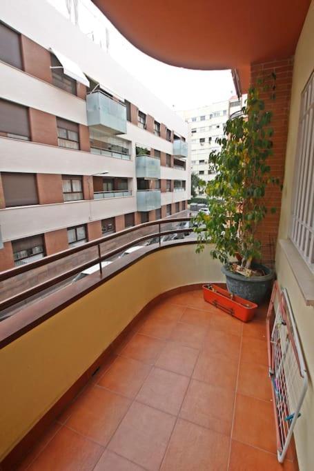 Appartement Clasica: Amigos Y Familia. Parking Gratis! *